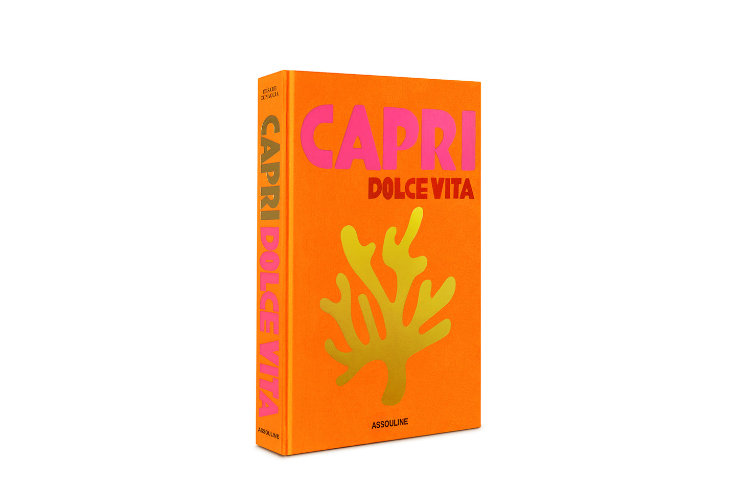 Capri Dolce Vita Book
